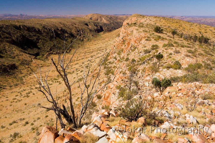 Larapinta_20080605_275 copy.jpg - Heavitree Range near Counts Point